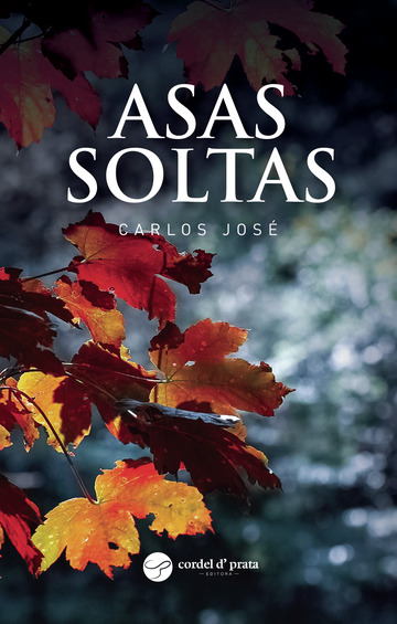 271_Asas Soltas
