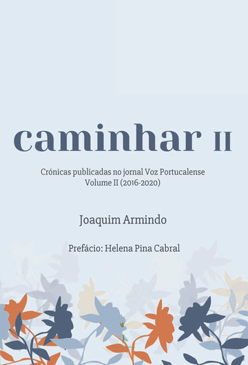 299_Caminhar II