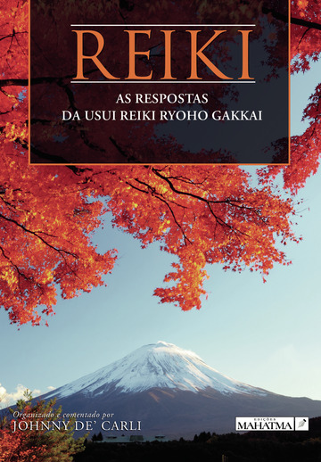 872_Reiki as respostas